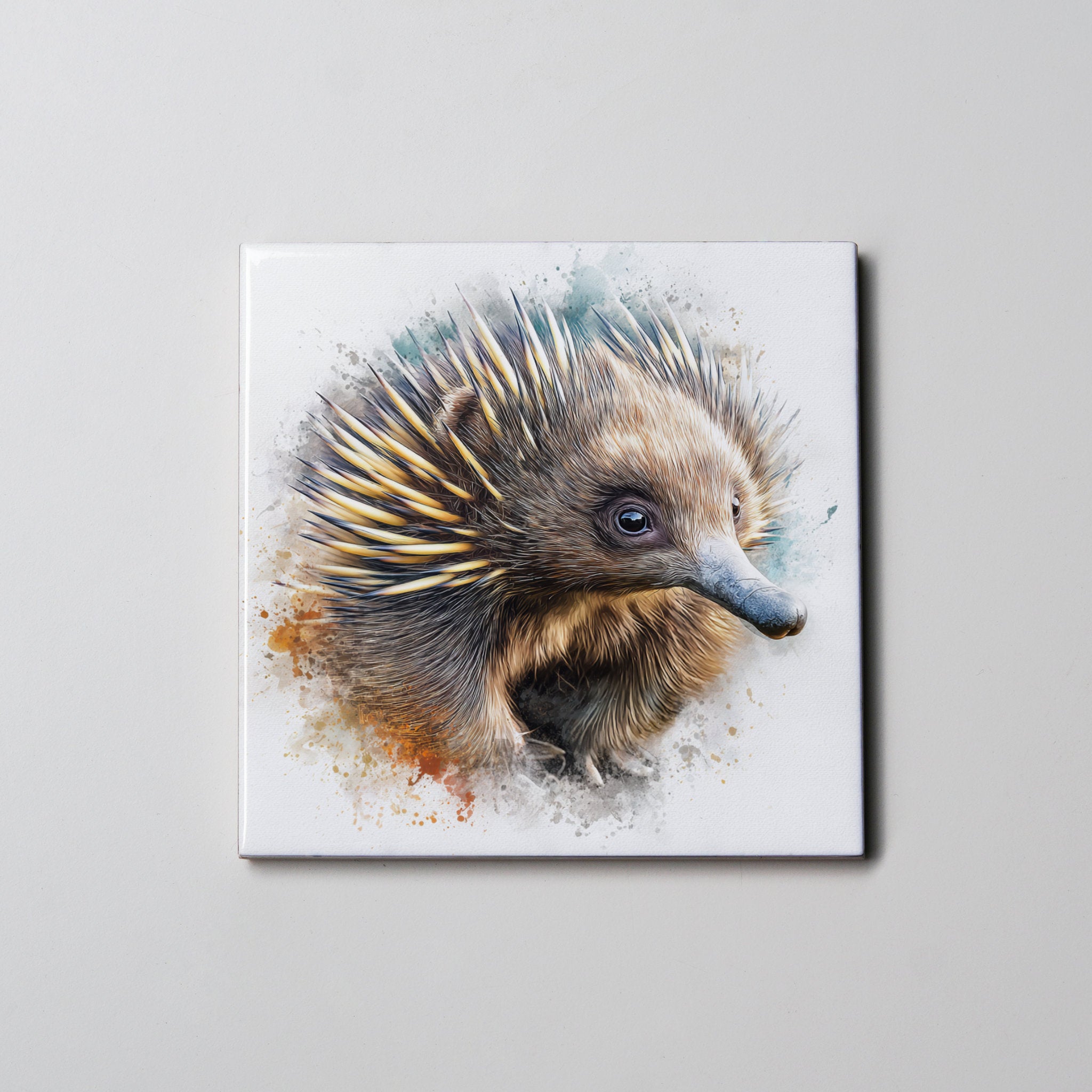 Echidna Right - Coaster