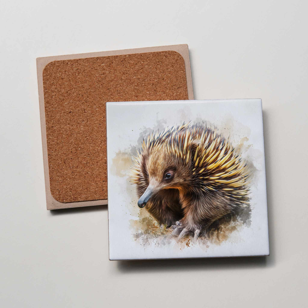 Echidna Left - Coaster