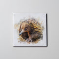 Echidna Left - Coaster