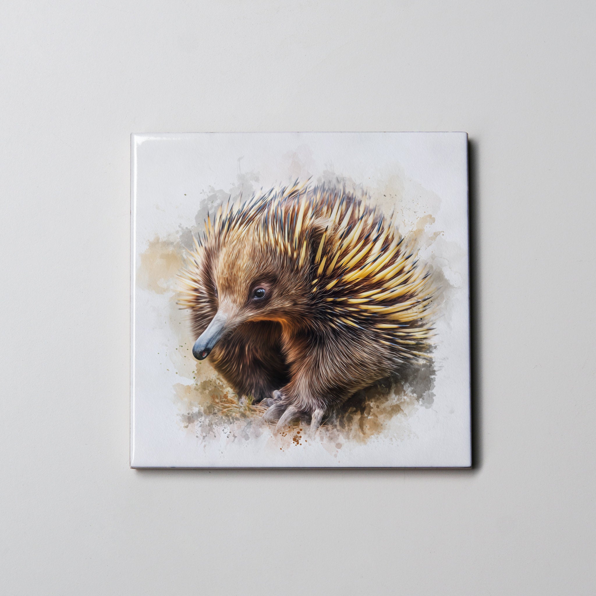 Echidna Left - Coaster