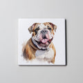 English Bulldog - Portrait - Coaster