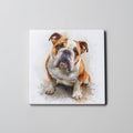 English Bulldog - Sitting - Coaster