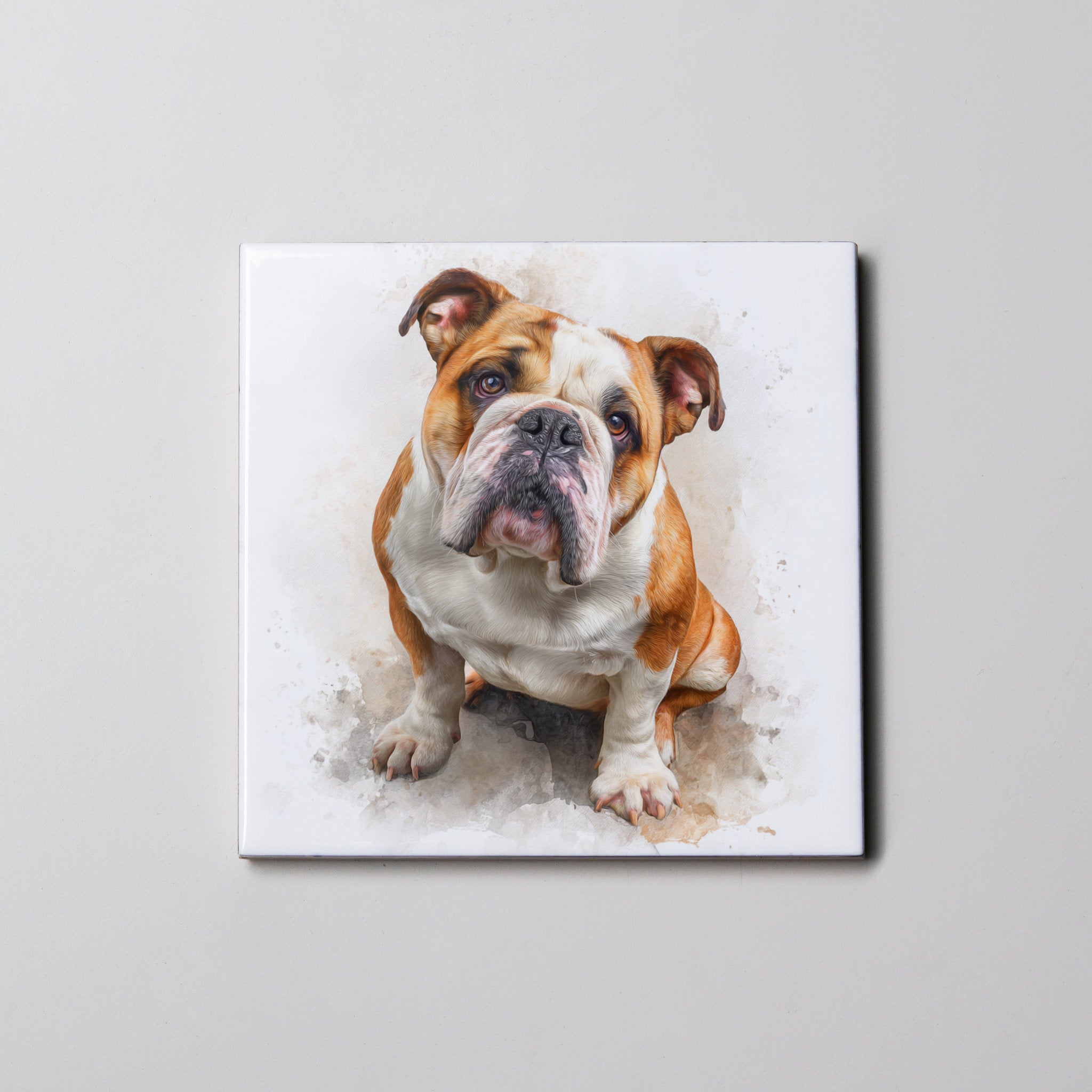 English Bulldog - Sitting - Coaster