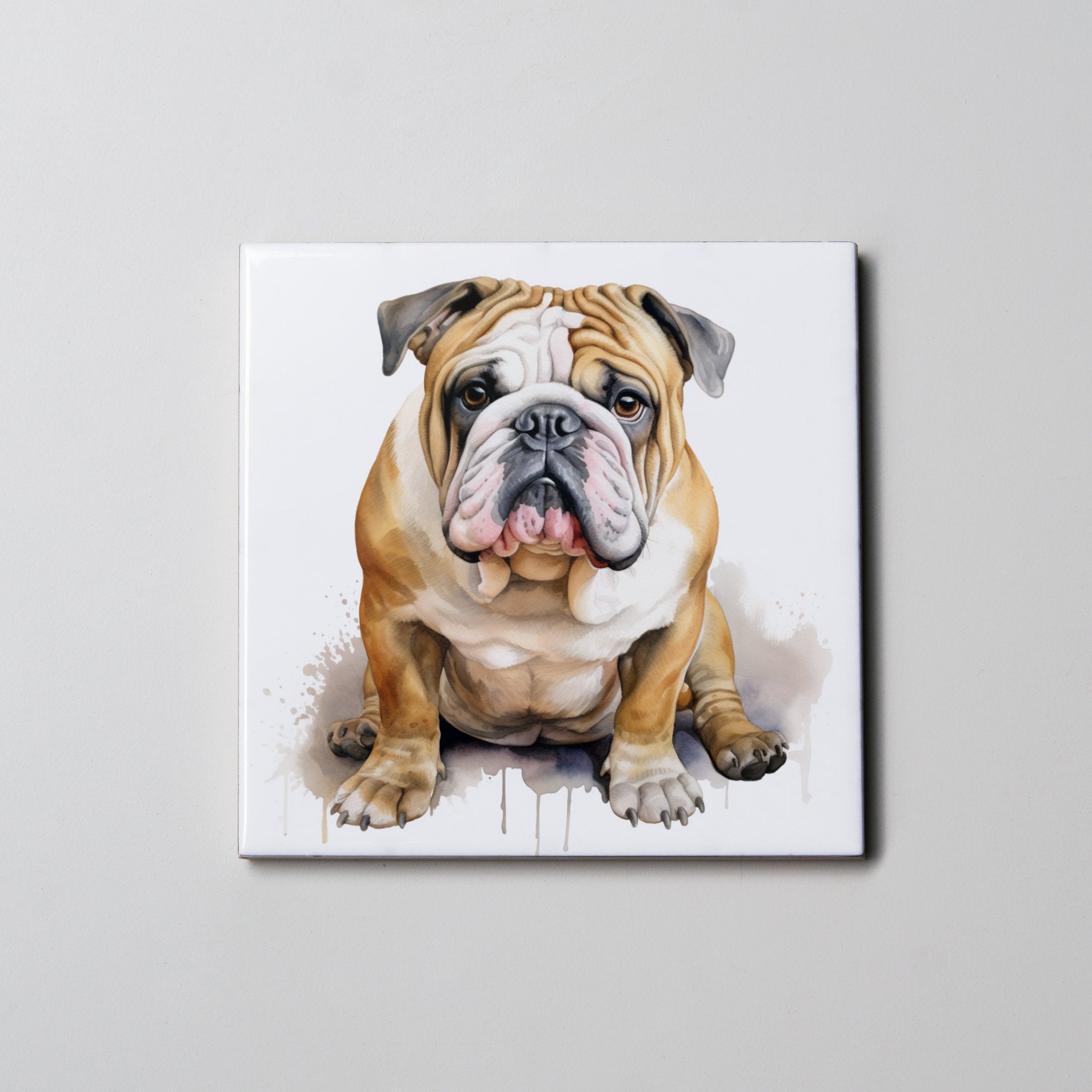 English Bulldog - Sitting LF - Coaster