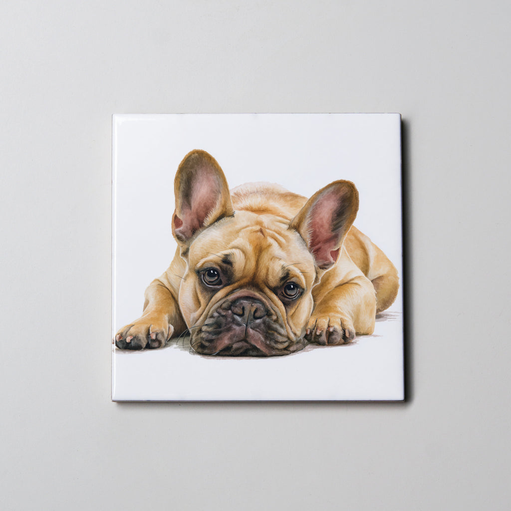 Tan French Bulldog Lying Down Coaster
