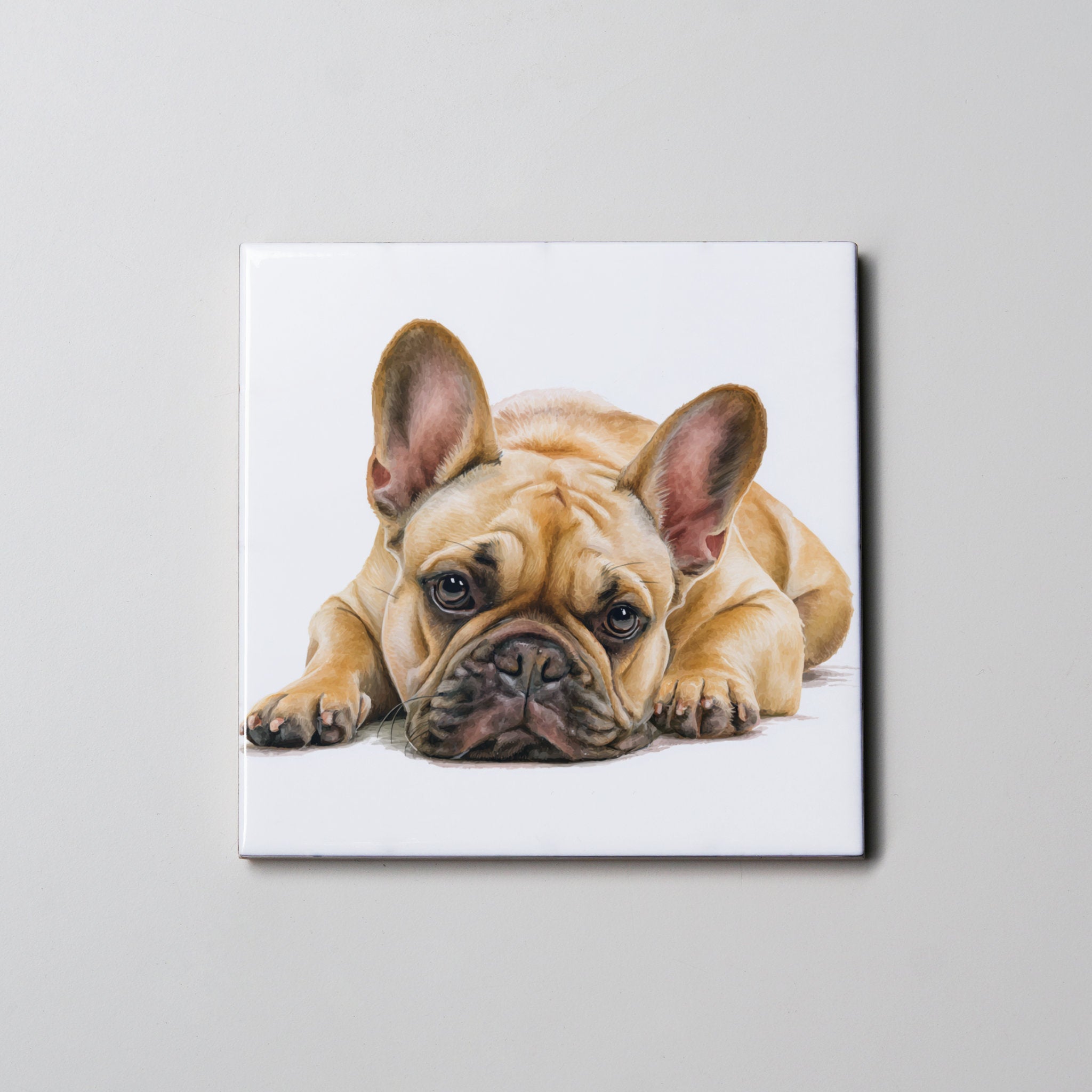 Tan French Bulldog Lying Down Coaster