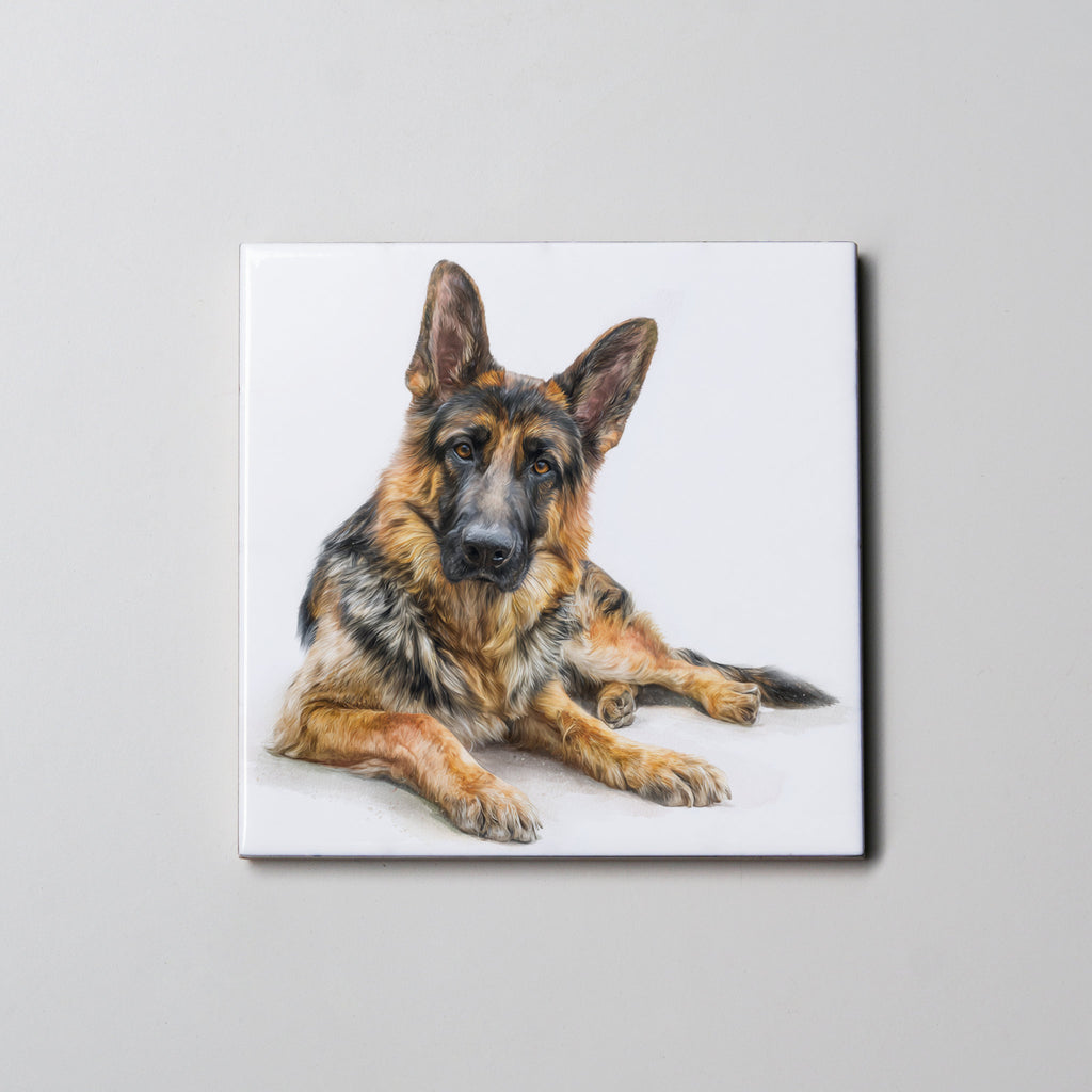 German Shepherd - Lying Down - Coaster
