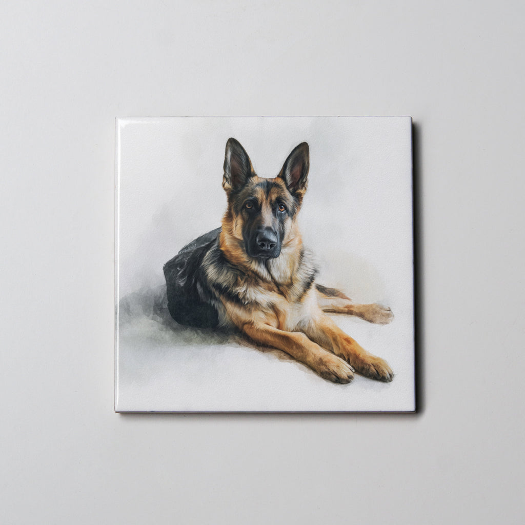 German Shepherd  Lying Down - Coaster