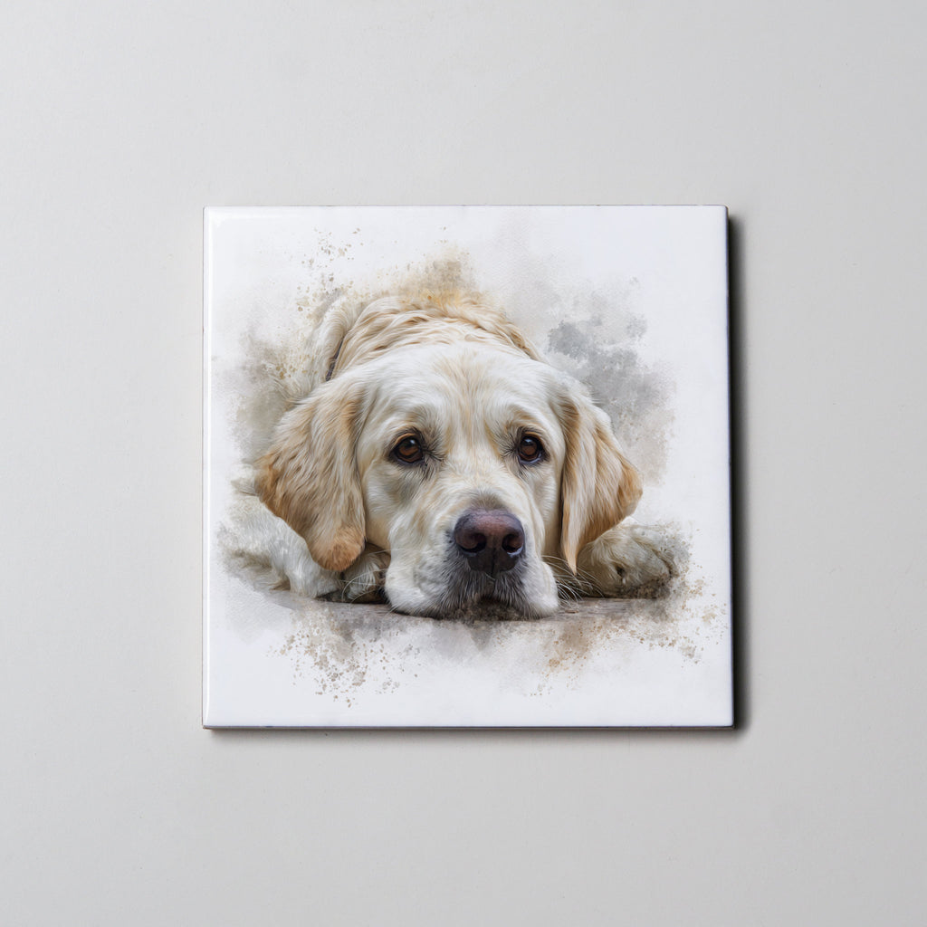 Golden Retriever - White - Lying HD - Coaster