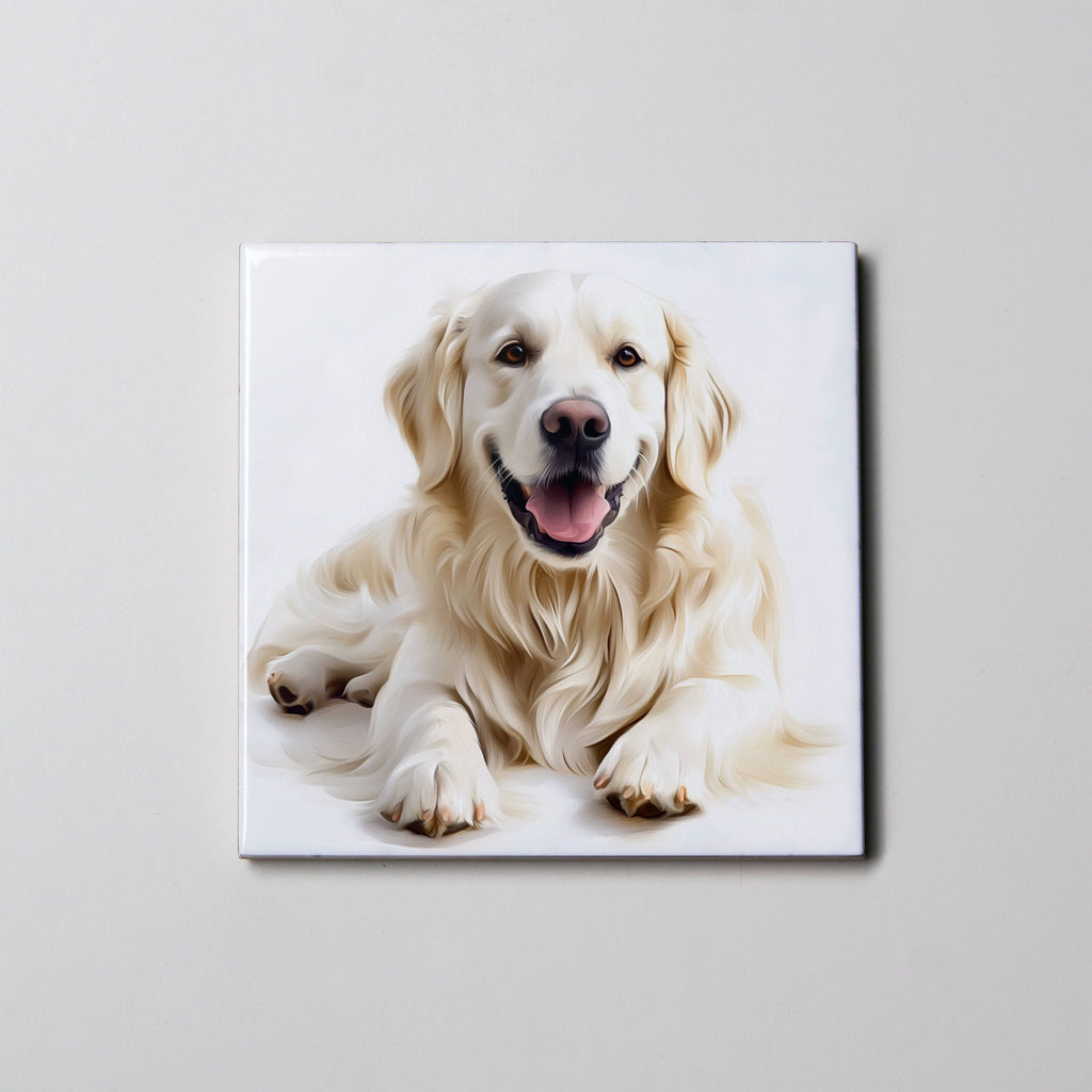 Golden Retriever - White - Lying HU  LF - Coaster