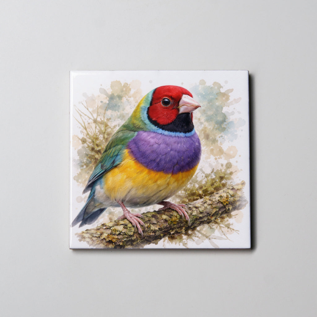 Gouldian Finch 1 - Coaster