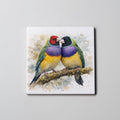 Gouldian Finch 2 - Coaster