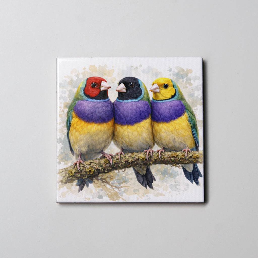 Gouldian Finch 3 - Coaster