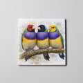 Gouldian Finch 3 - Coaster