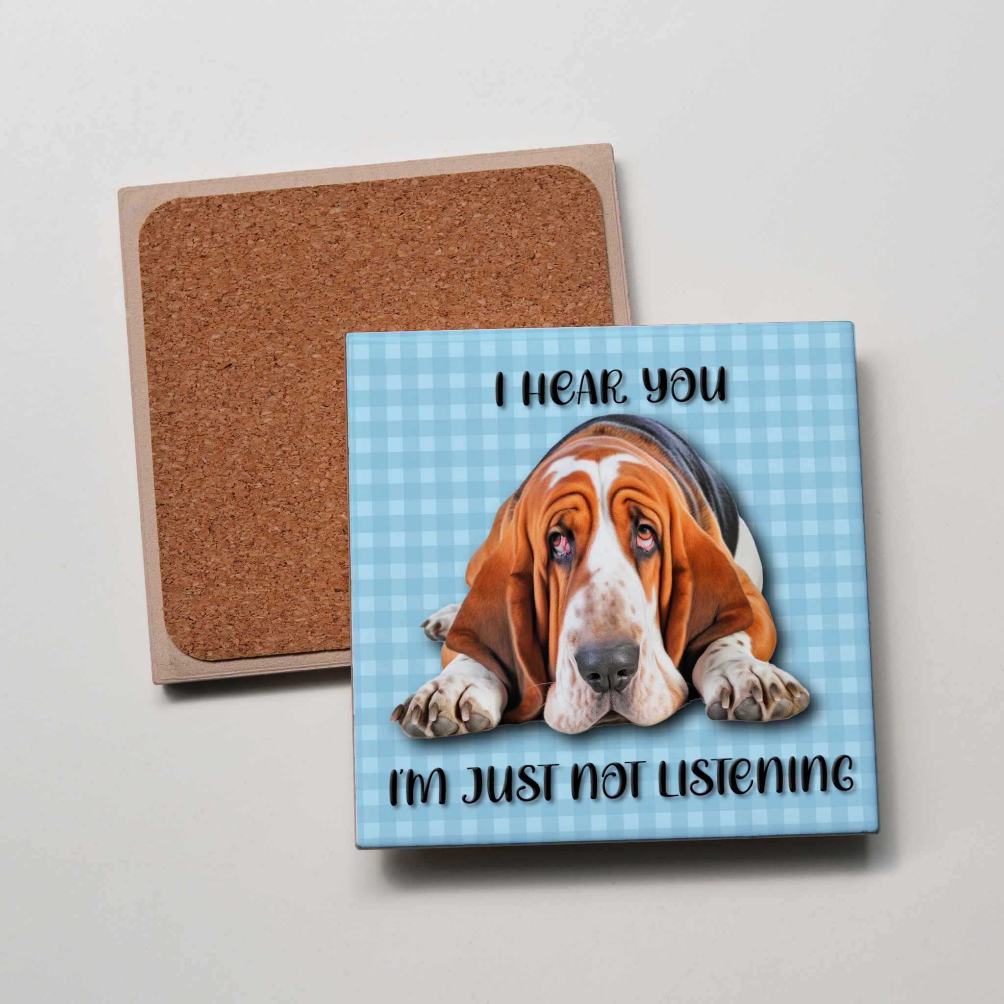 I hear You Coaster