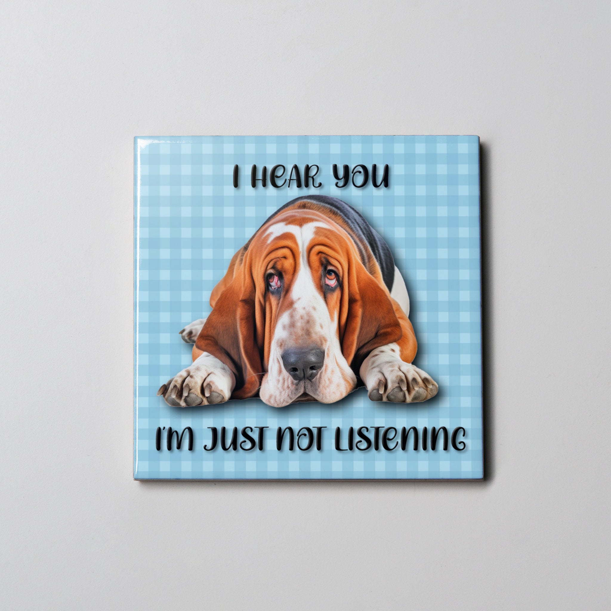 I hear You Coaster