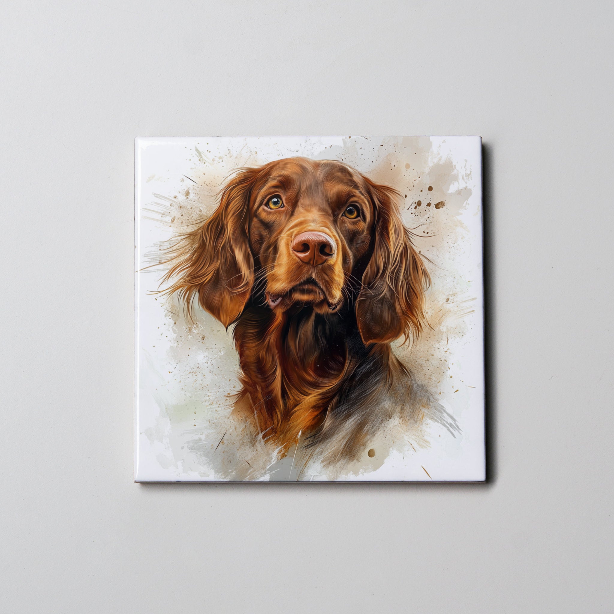Irish Setter - Portrait - Coaster