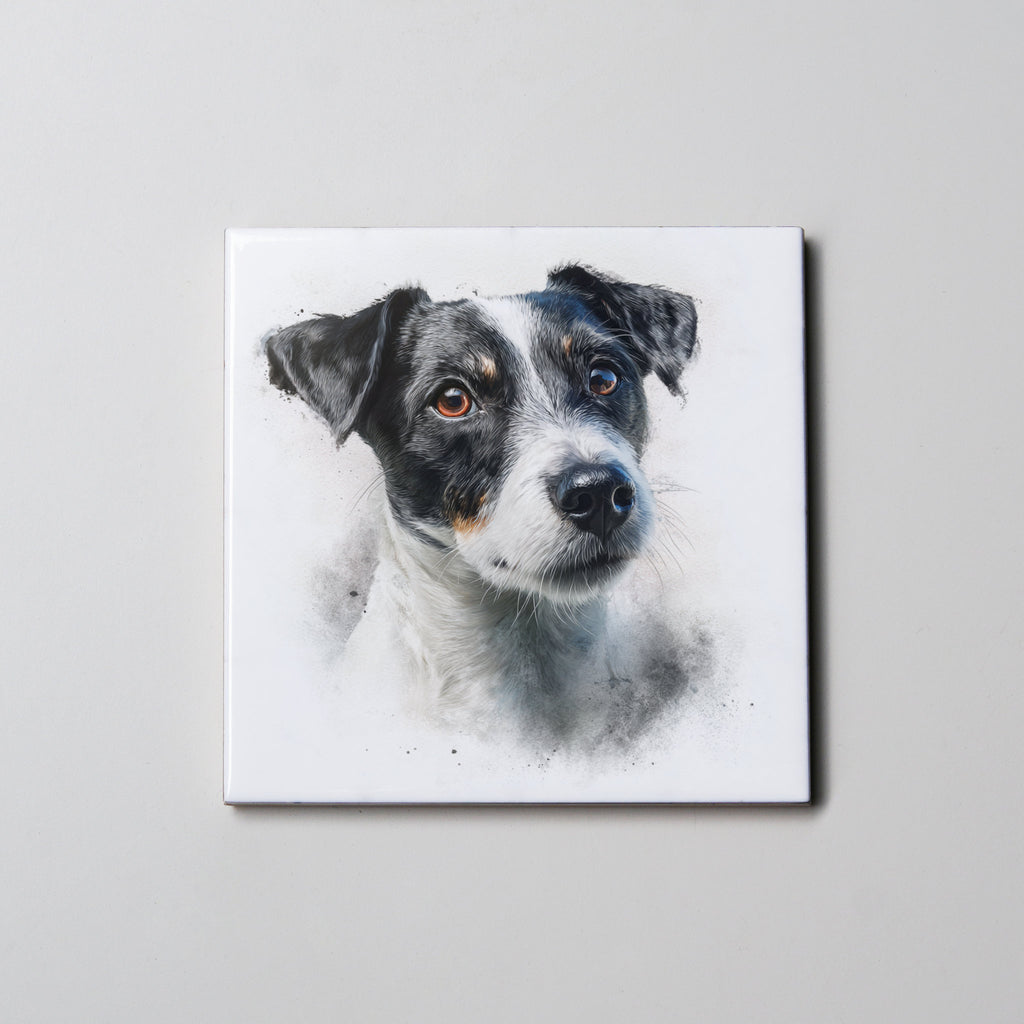 Jack Russell - BW - Portrait - Coaster
