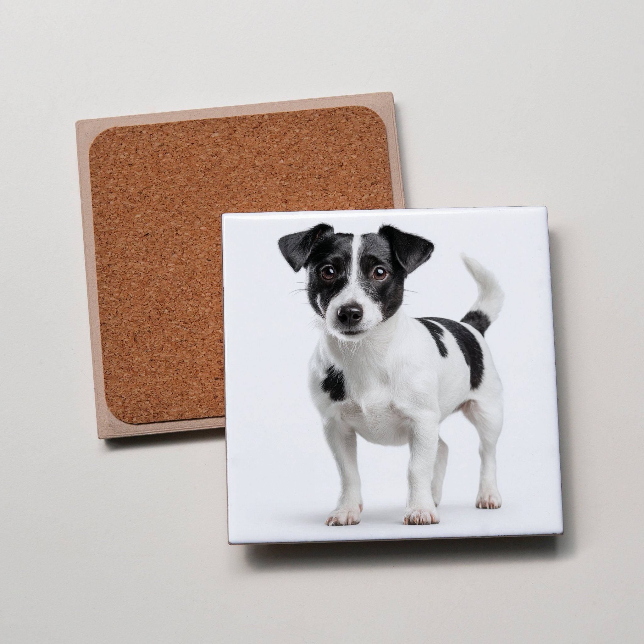 Jack Russell - BW - Standing - Coaster
