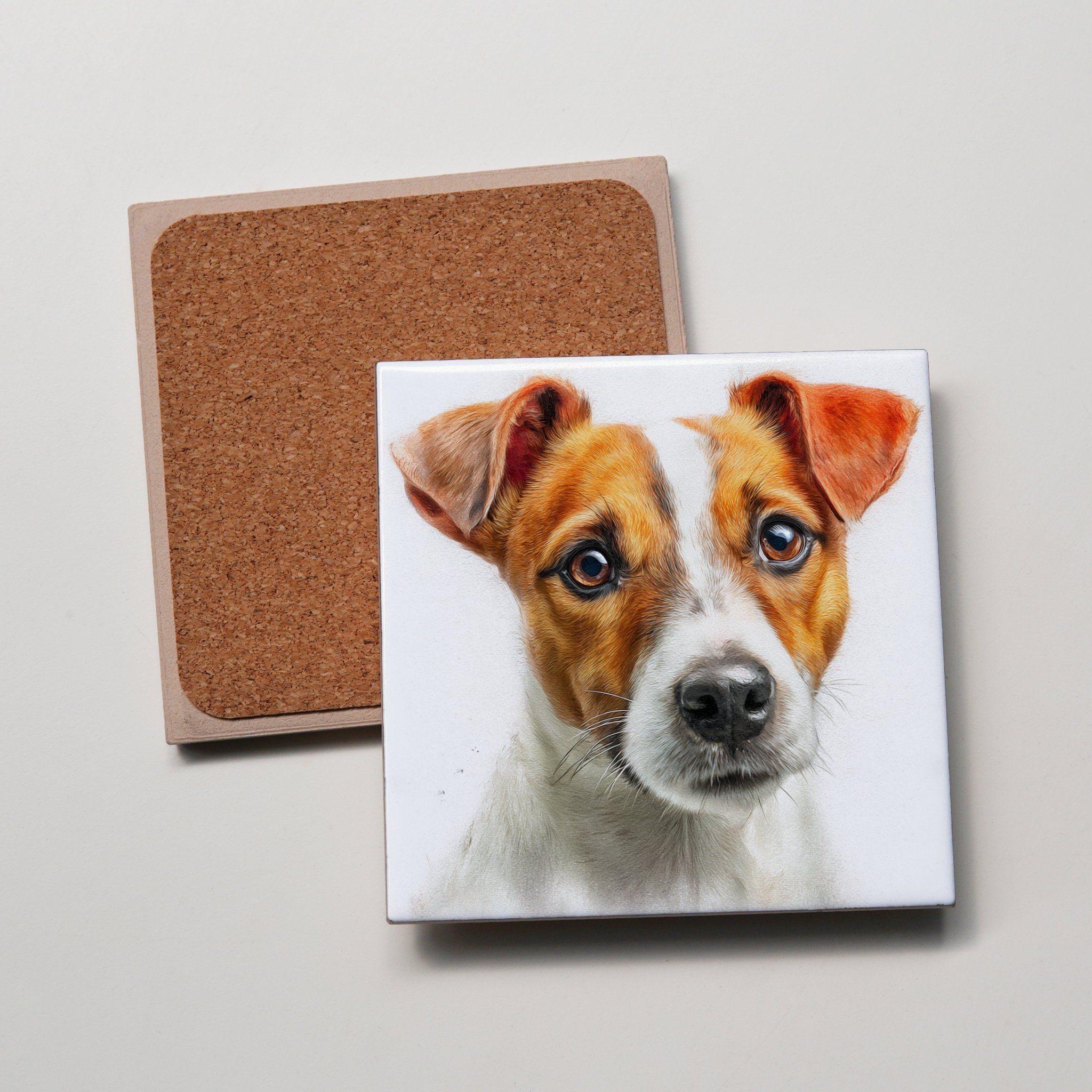 Jack Russell - Portrait1 - Coaster