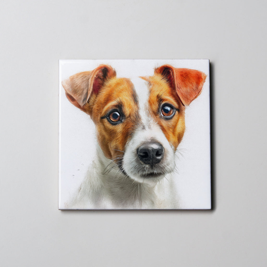 Jack Russell - Portrait1 - Coaster
