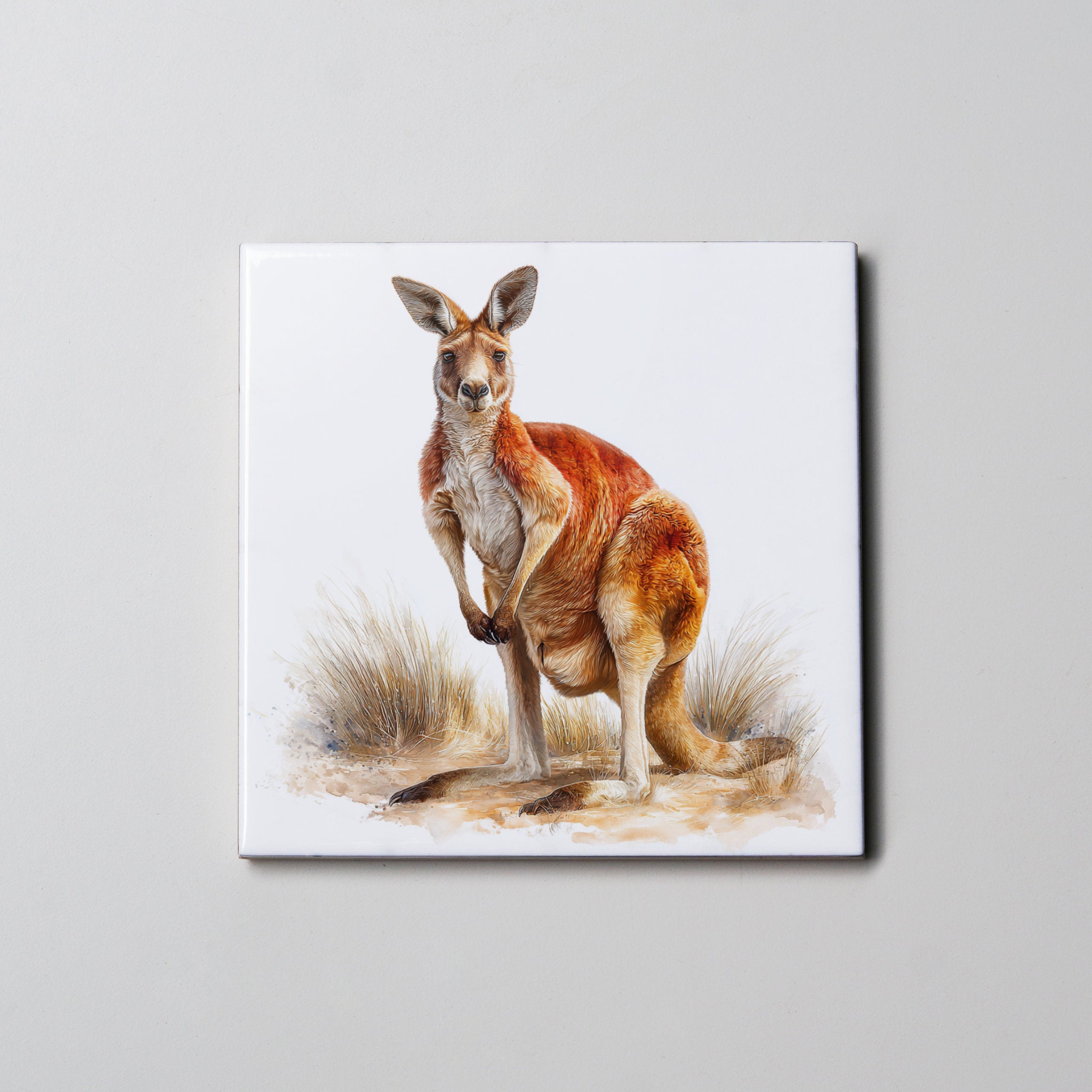 Kangaroo - Full body - Coaster