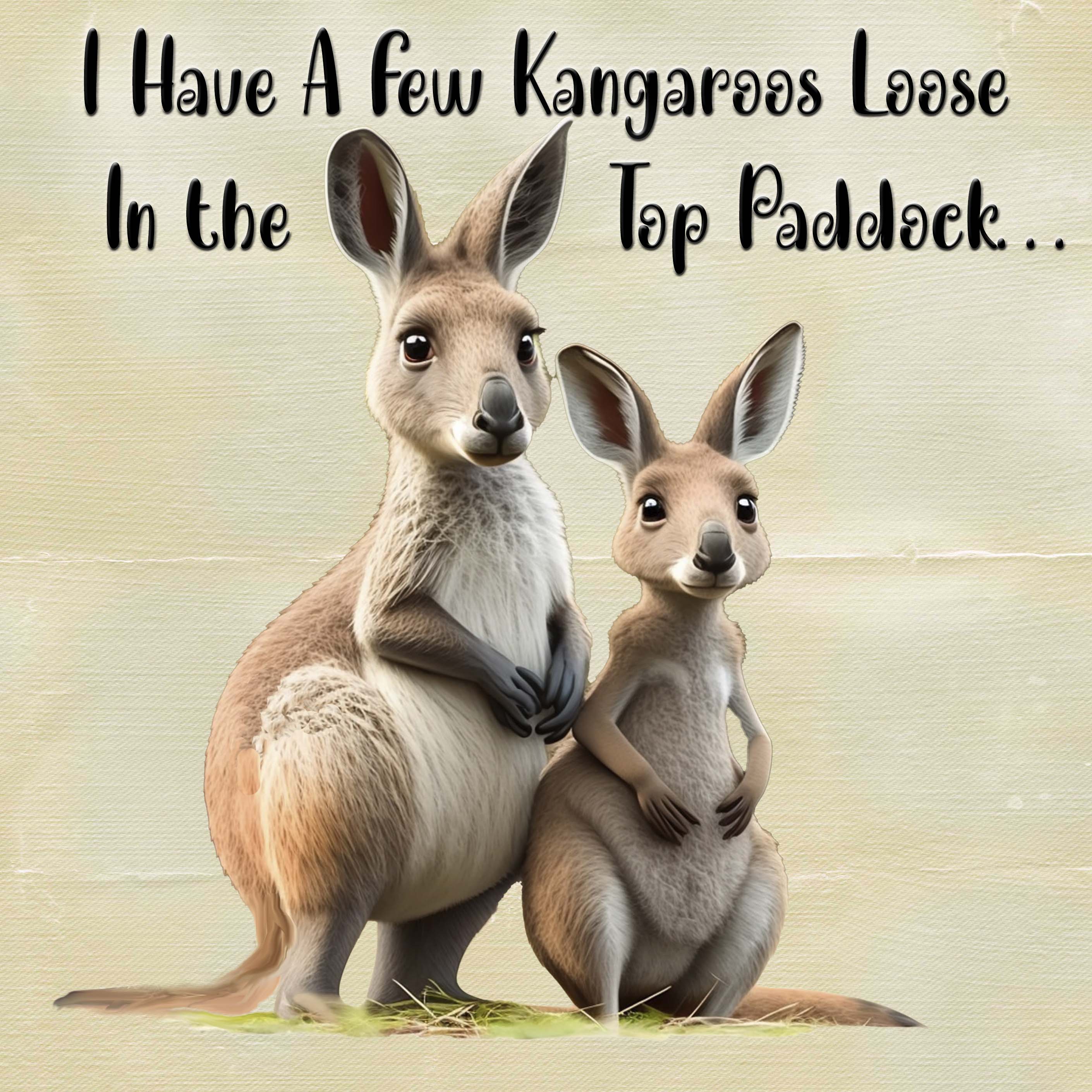 Kangaroos Loose - Coaster