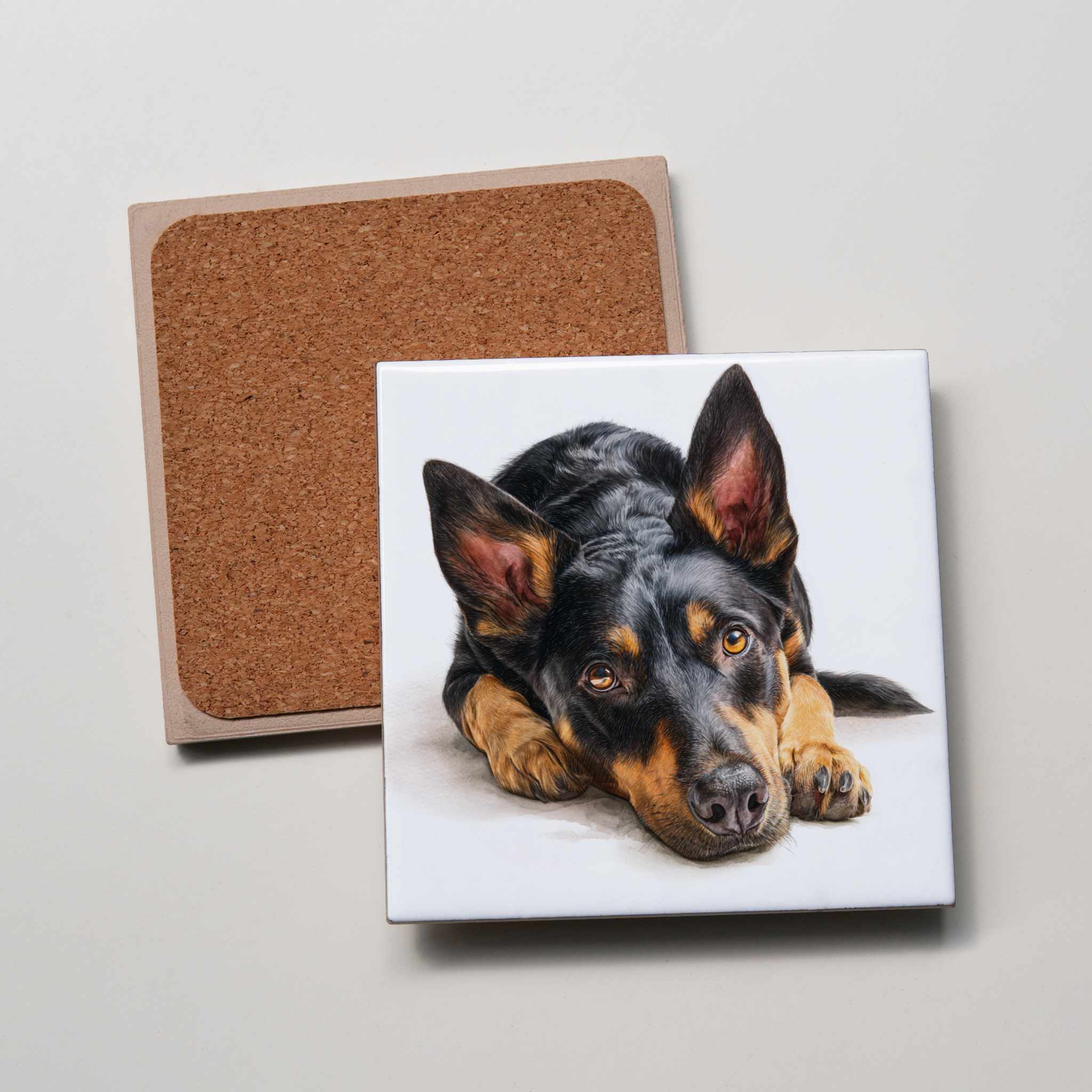 Kelpie - Black & Tan - Lying HD - Coaster