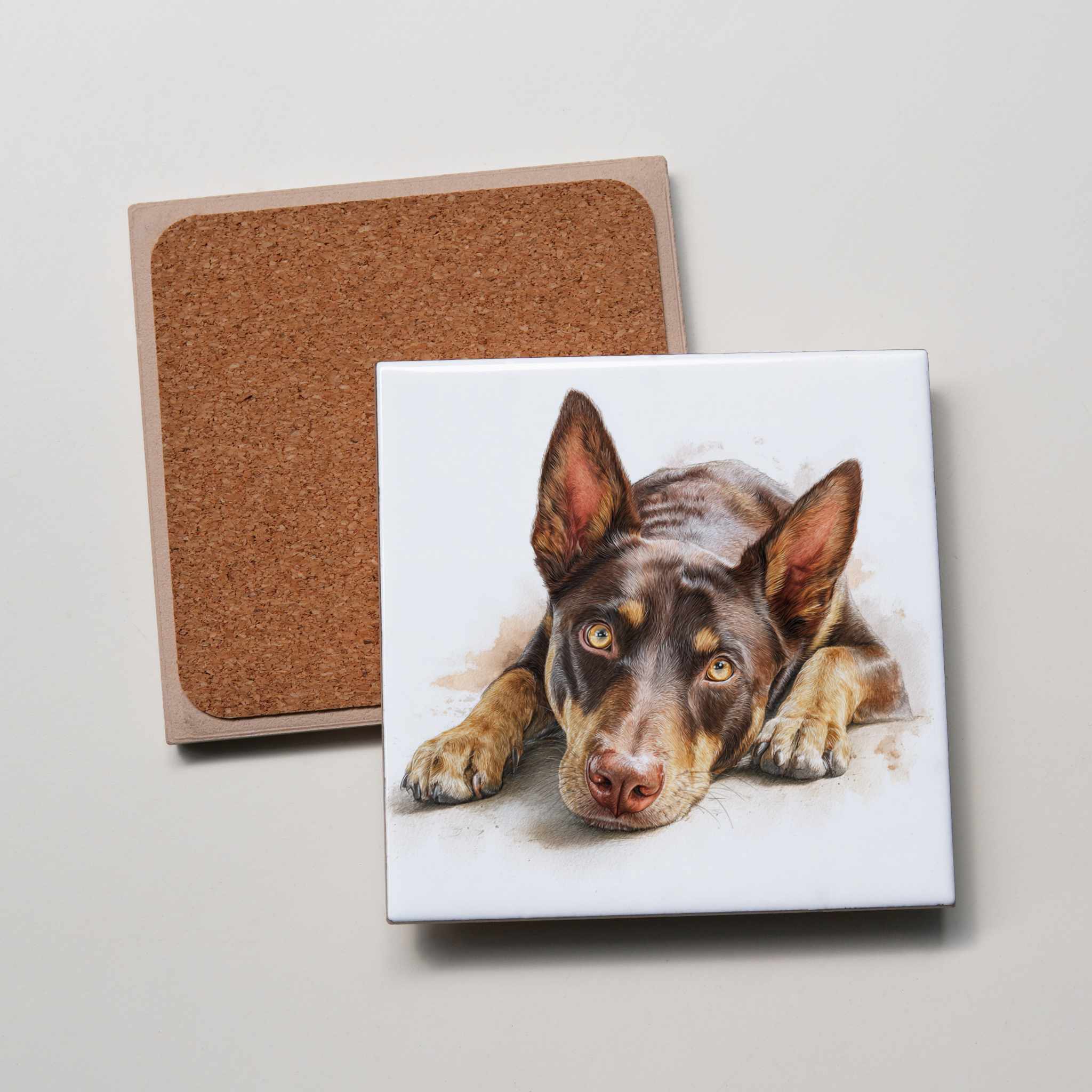 Kelpie - Brown & Tan - Lying HD - Coaster