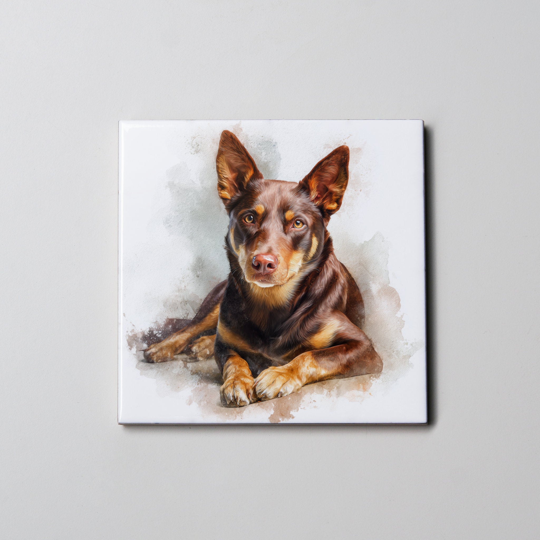 Kelpie - Brown & Tan - Lying HU - Coaster