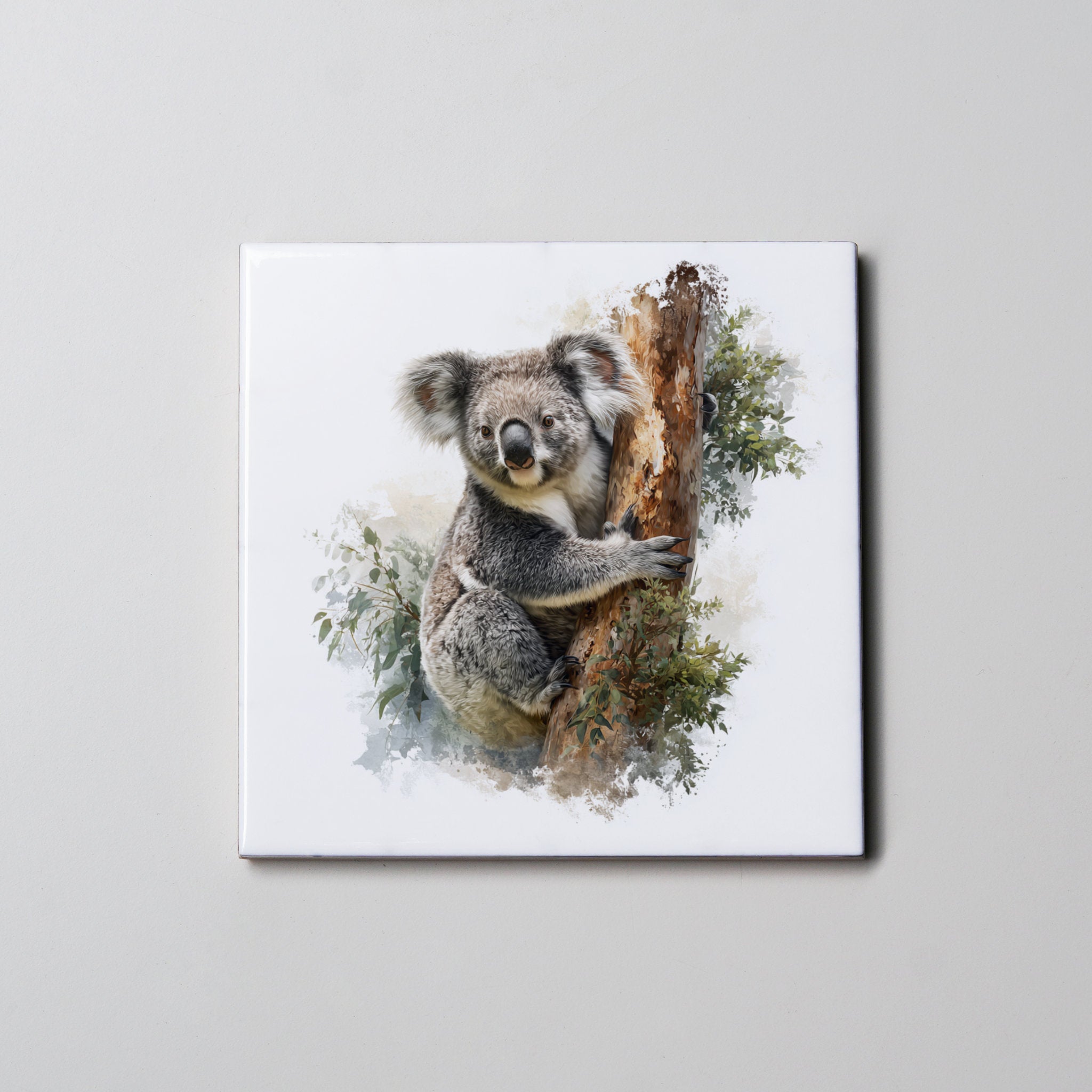 Koala - Full Body - Coaster