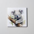 Koala 1 - Coaster