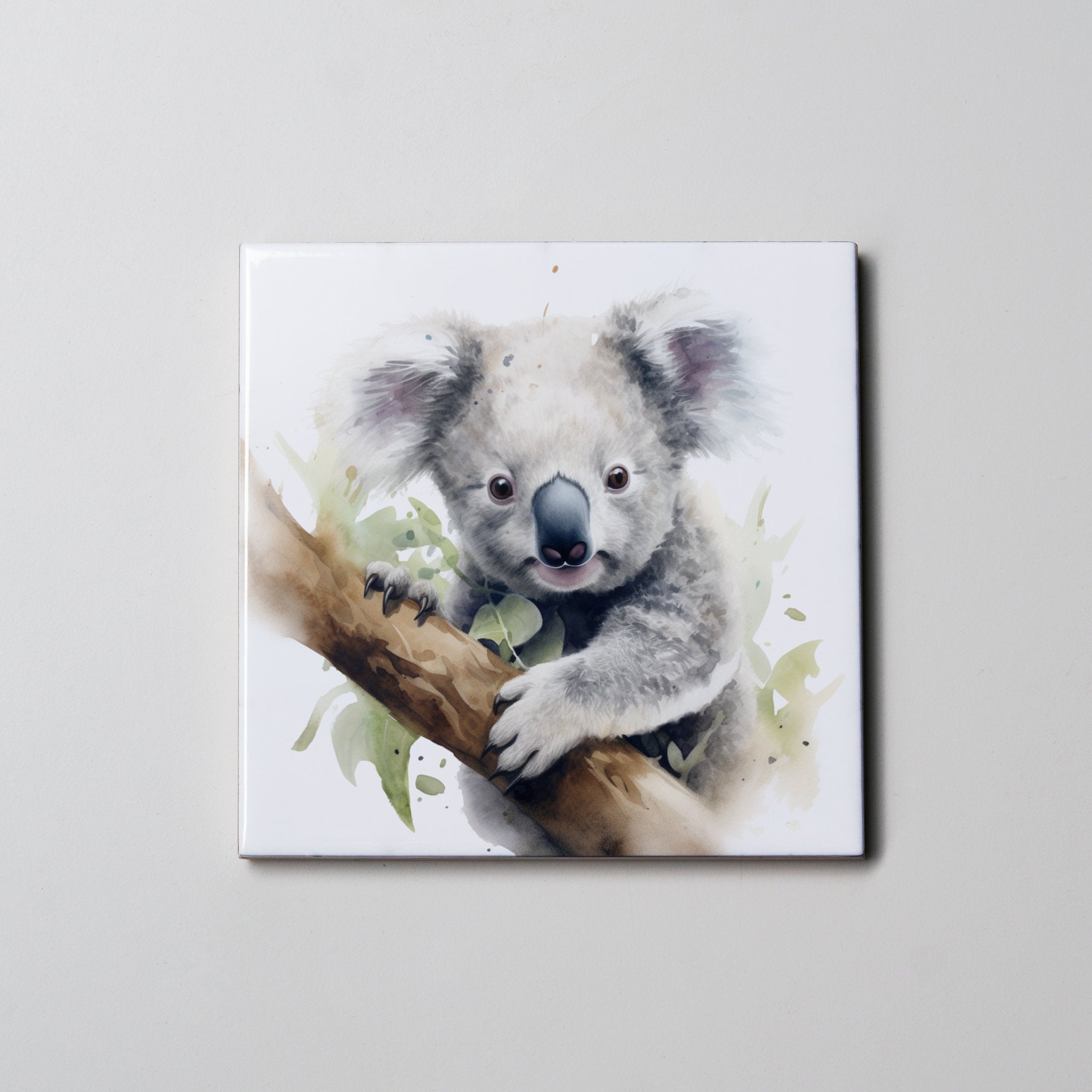 Koala 1 - Coaster
