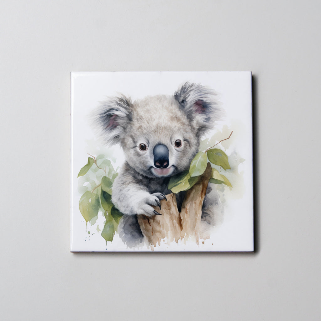 Koala 2 - Coaster