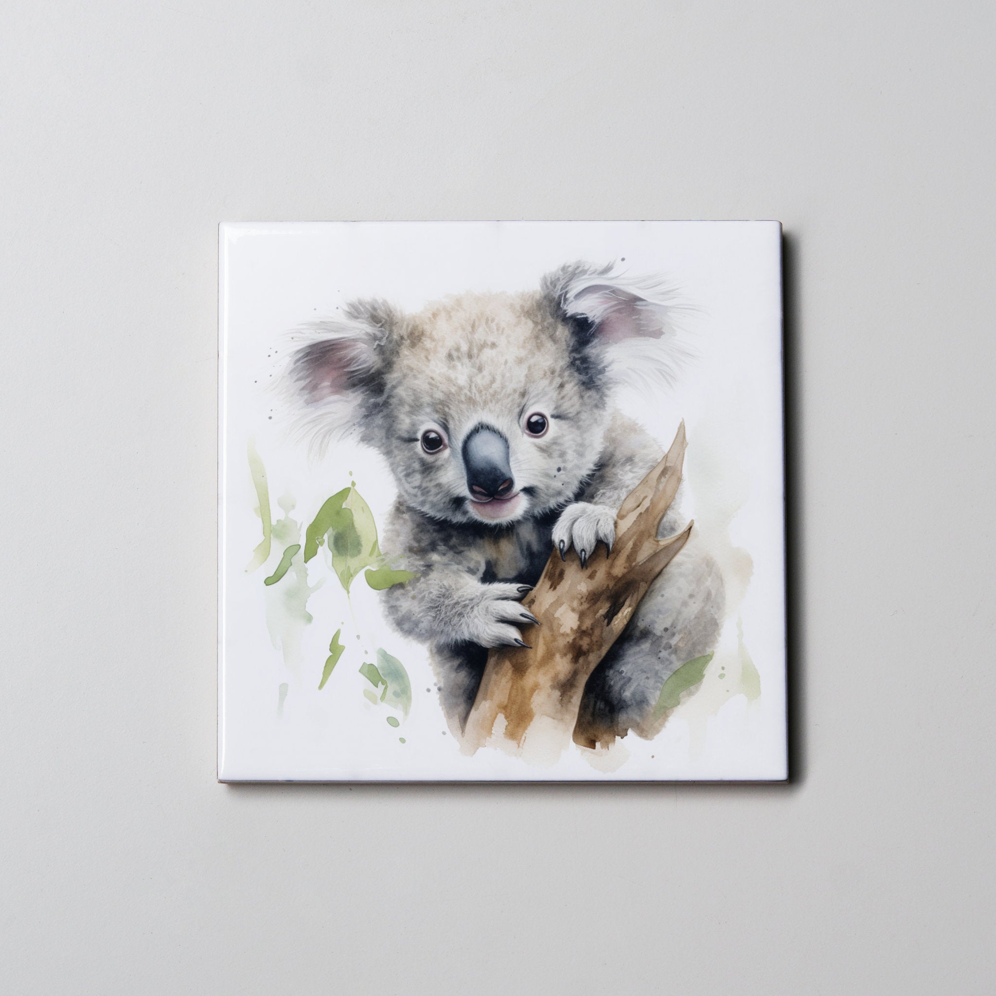Koala 3 - Coaster