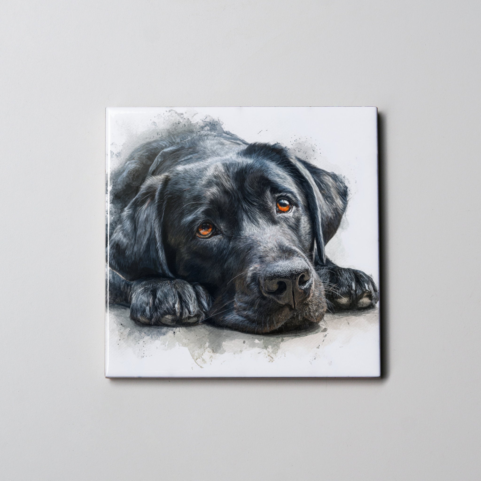 Labrador - Black - Lying HD - Coaster