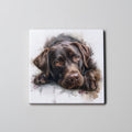 Labrador - Chocolate - Lying HD - Coaster