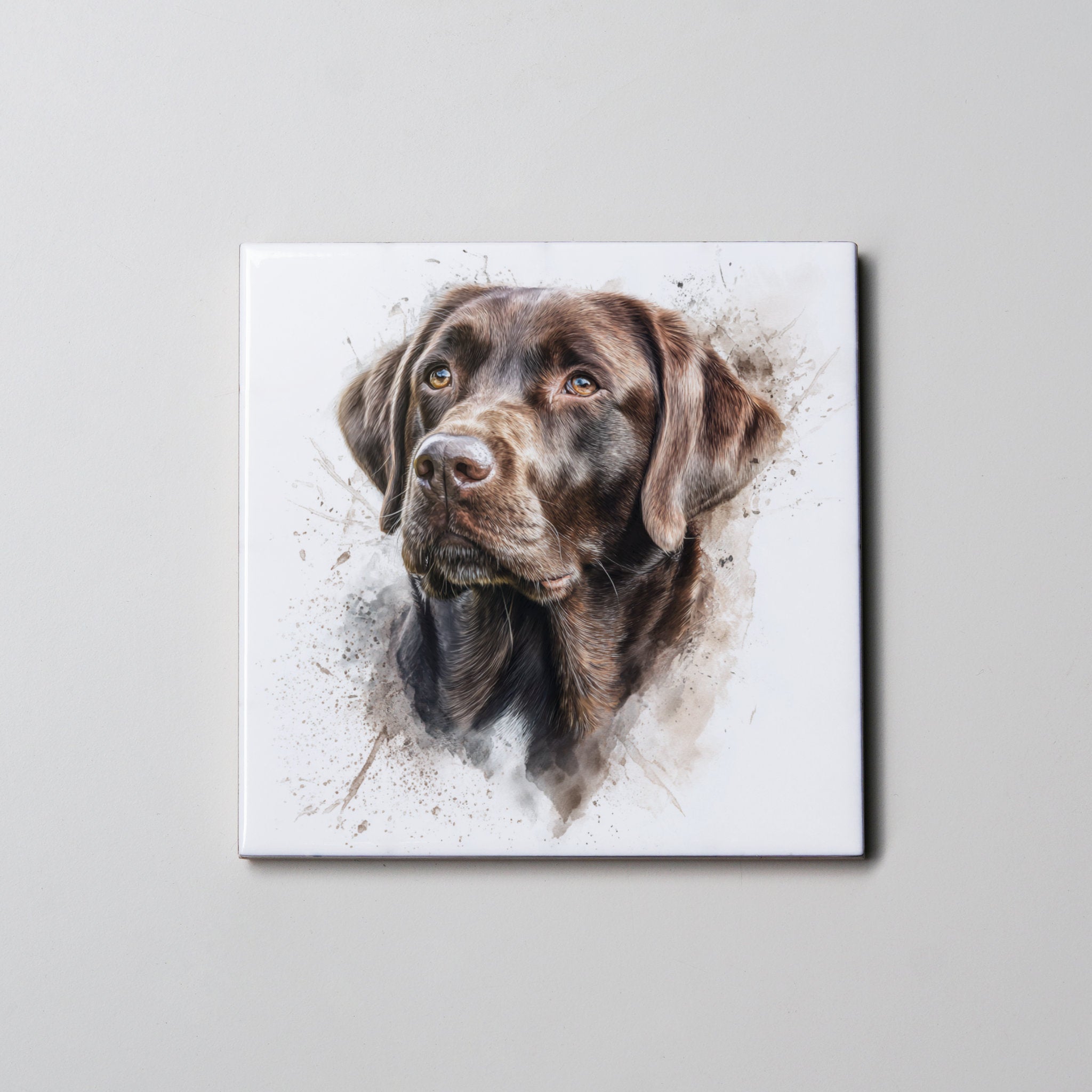 Labrador - Chocolate - Portrait - Coaster