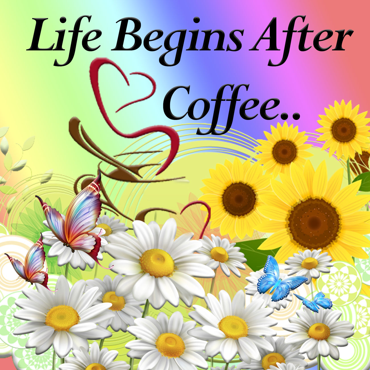 Life Begins Coaster