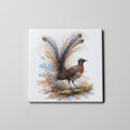 Lyrebird FB- Coaster