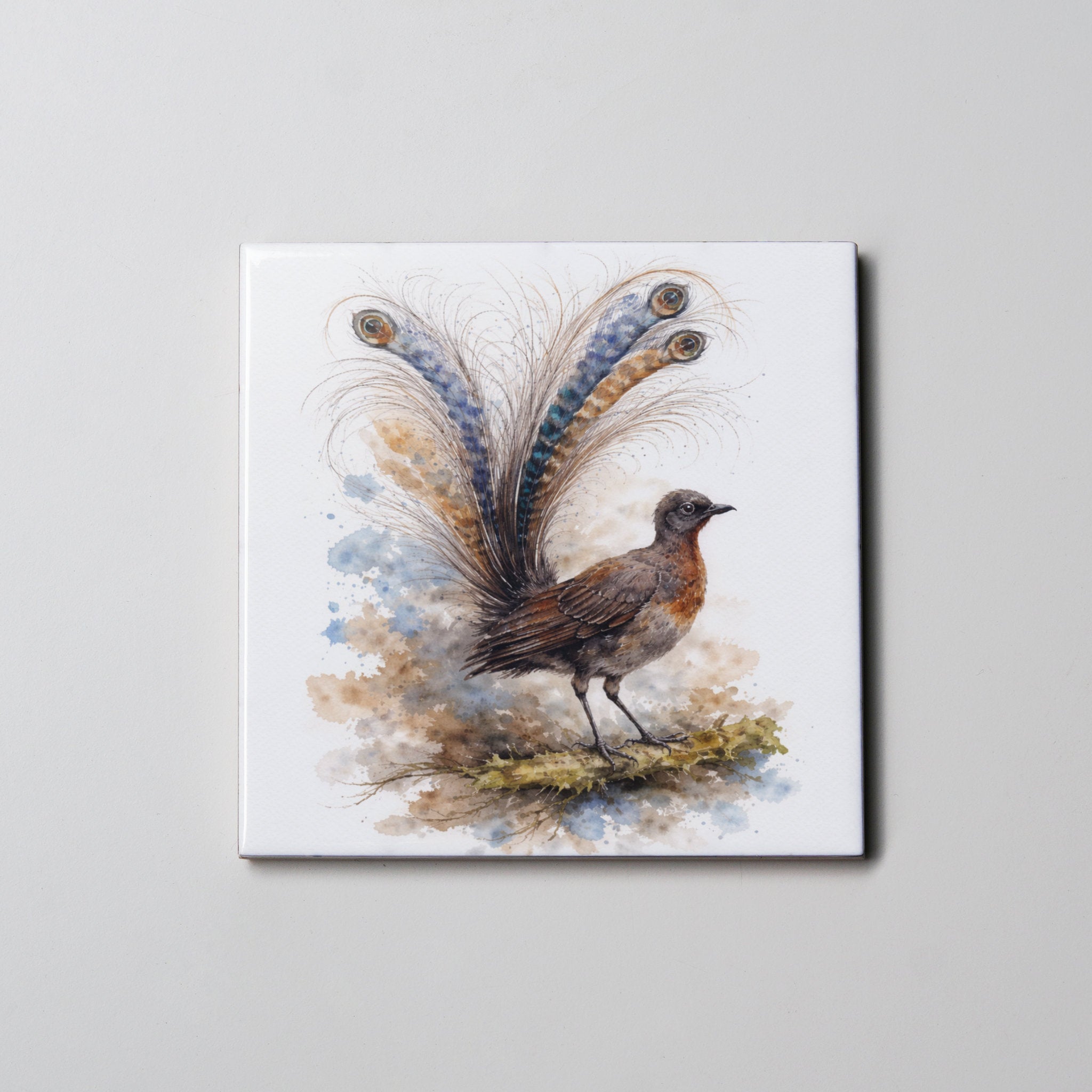 Lyrebird FB- Coaster