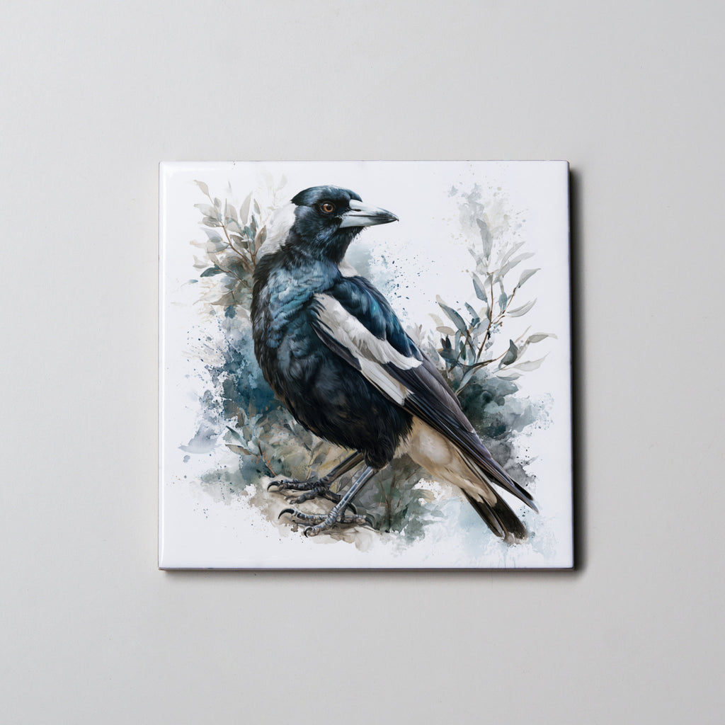 Magpie FB turning right - Coaster