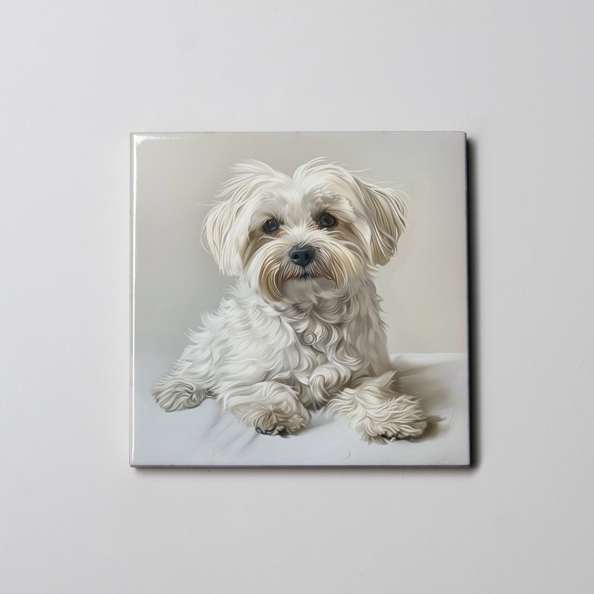Maltese - Lying Down - Coaster