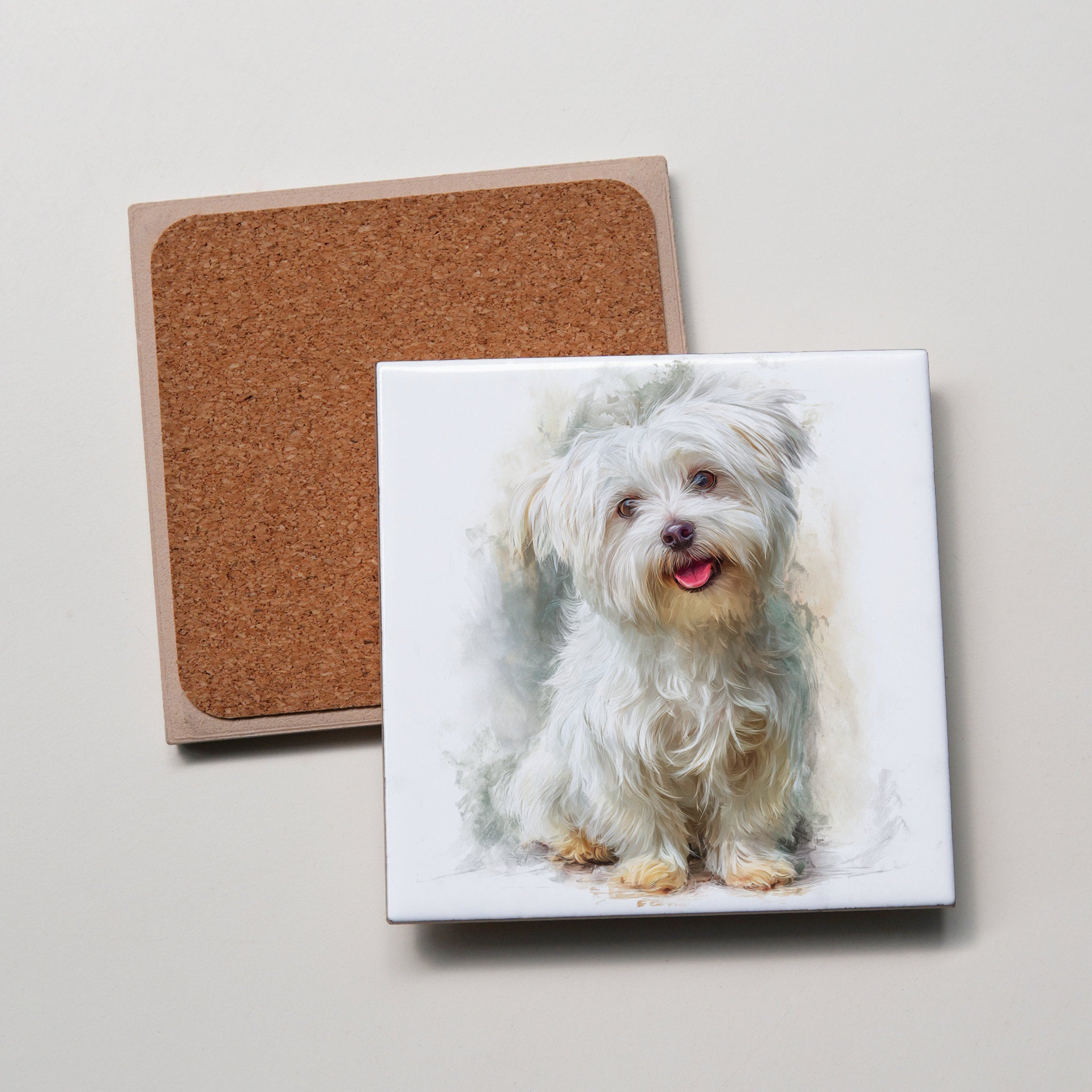 Maltese - Sitting 1 - Coaster