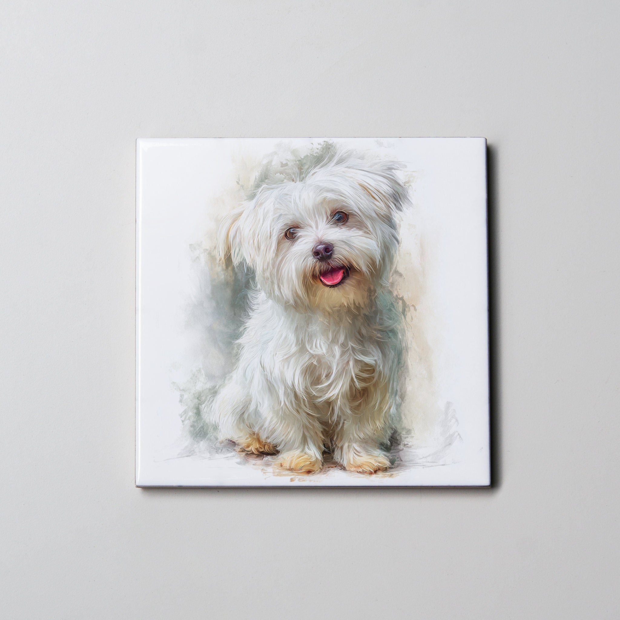 Maltese - Sitting 1 - Coaster