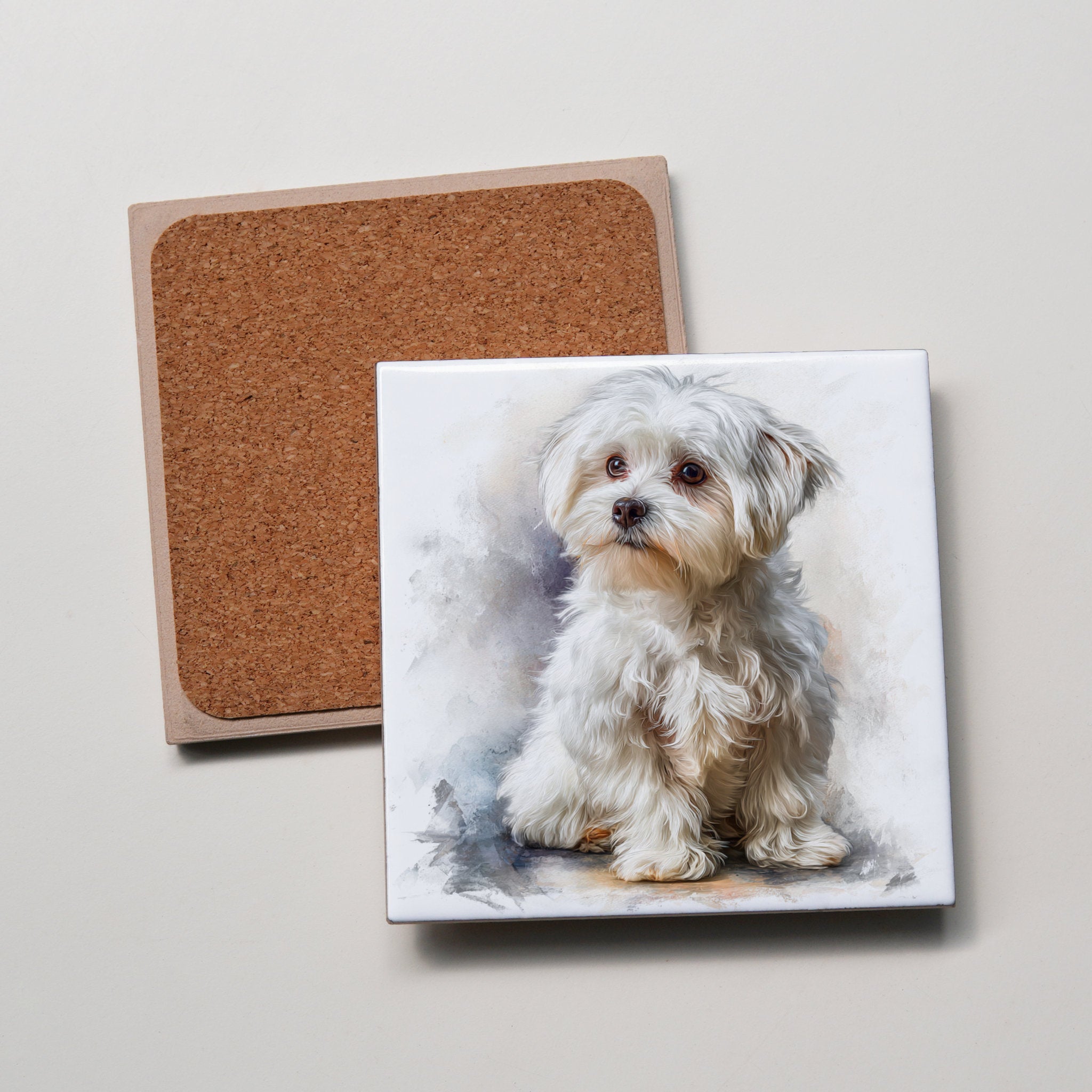 Maltese - sitting - Down 2 - Coaster