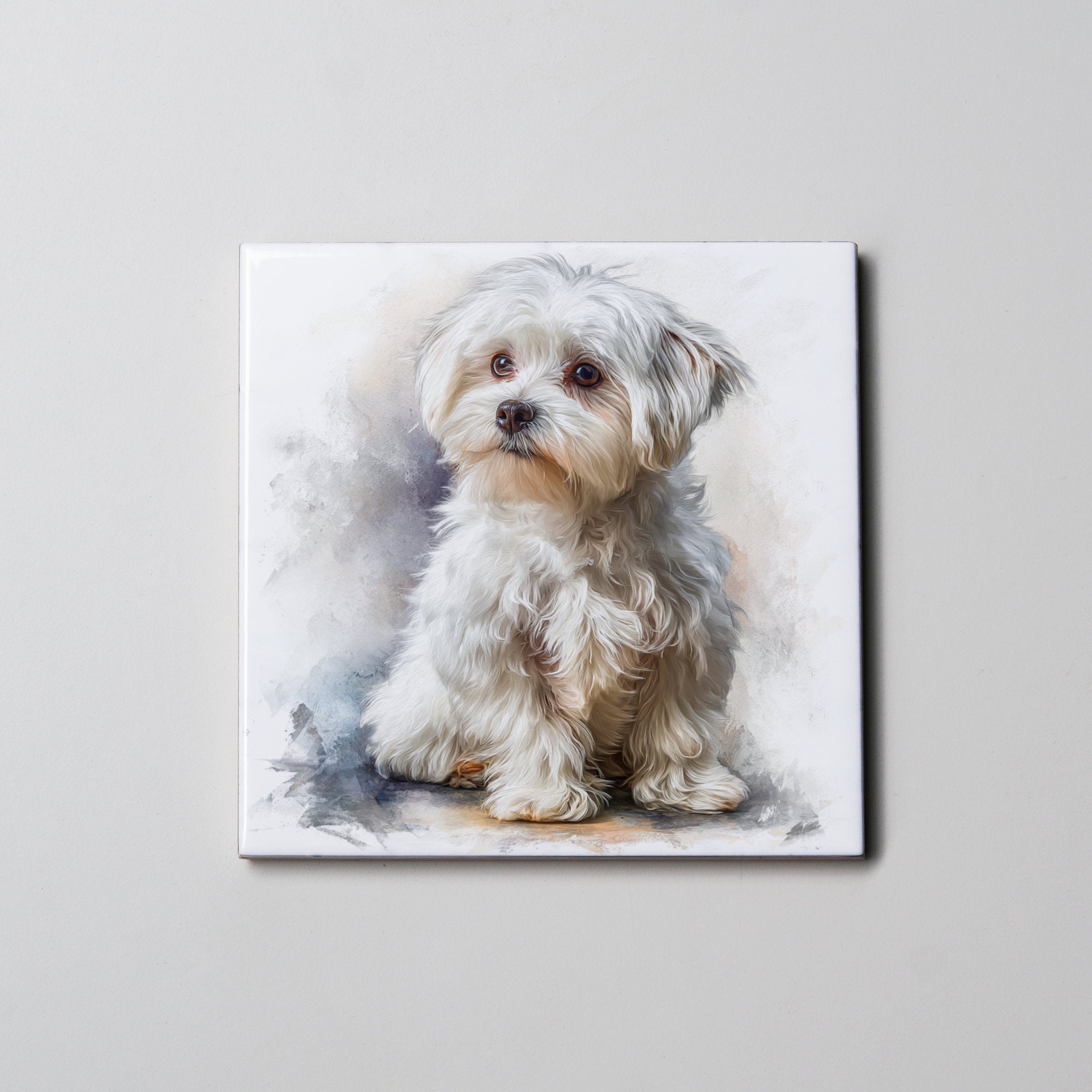 Maltese - sitting - Down 2 - Coaster