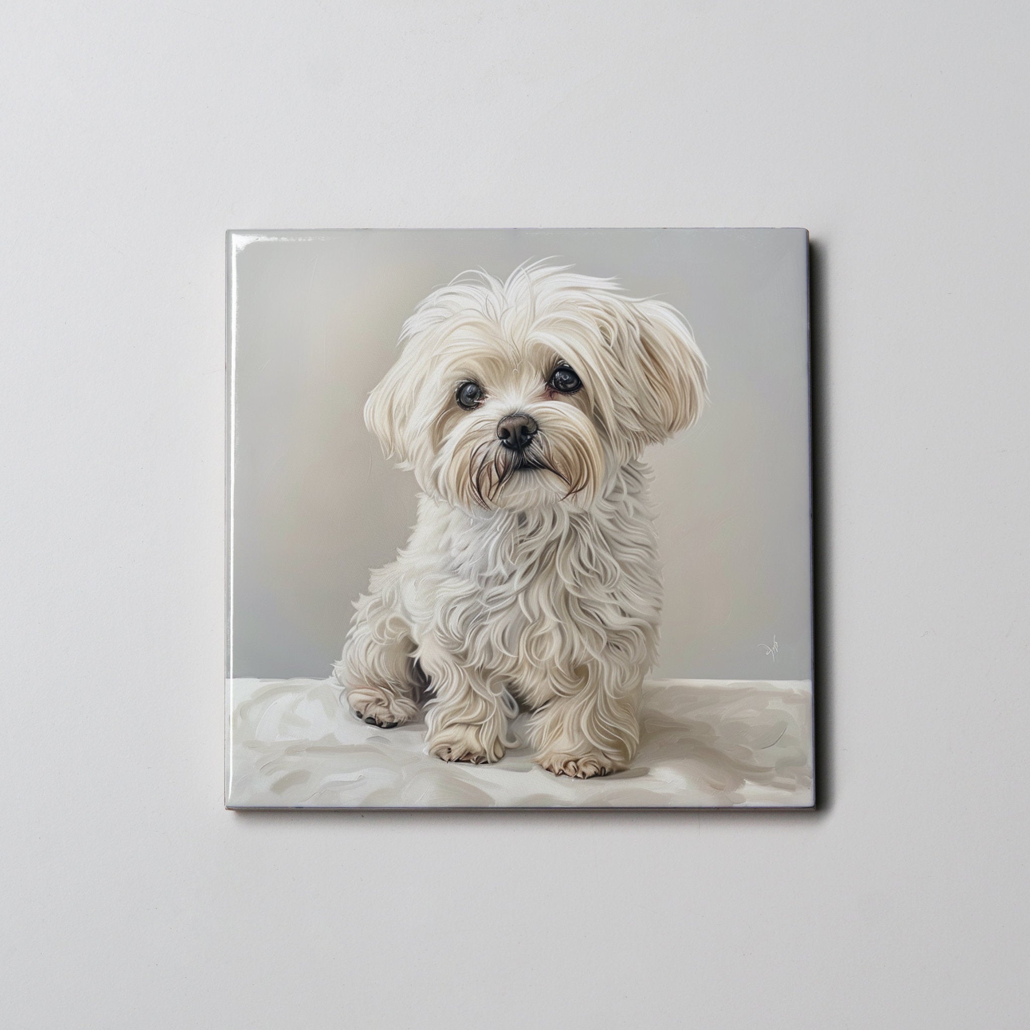 Maltese - sitting - Down 3 - Coaster