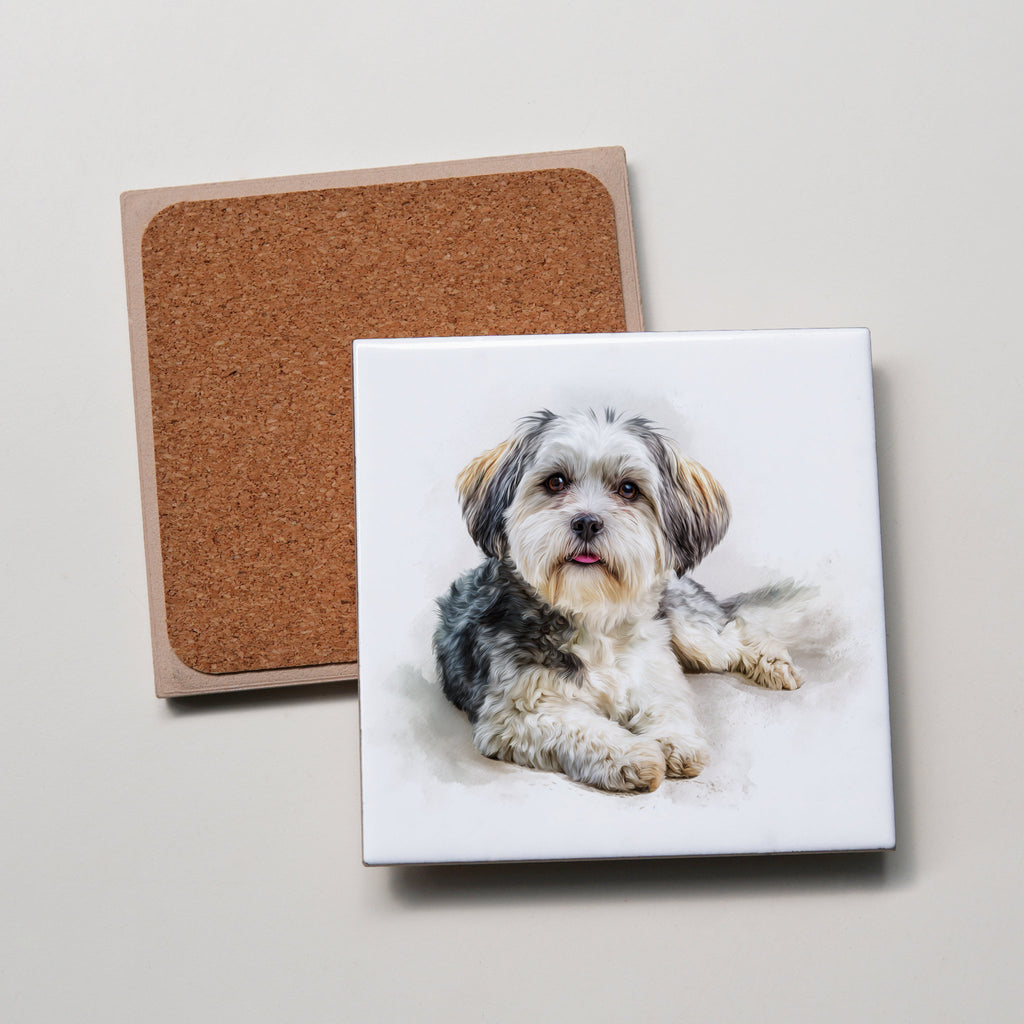 Maltese Shih Tzu - Lying Down1 - Coaster