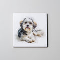 Maltese Shih Tzu - Lying Down1 - Coaster